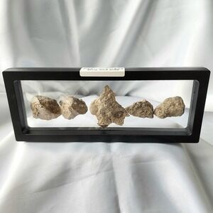Authentic Berlin Wall Fragment US Army‎ Bring Back With Frame Rare Display Peace